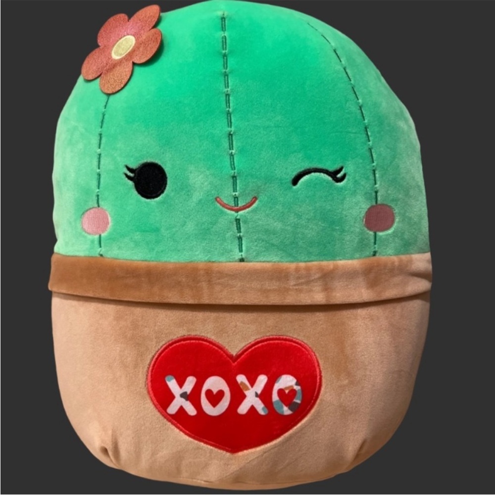 Squishmallows Shadi the cactus XOXO Green and Tan Cactus Plush NWT 12”